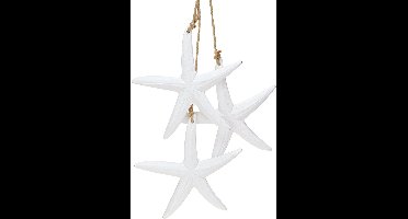 Zeester decoratie maritieme houten decoratie om op te hangen wit met 3