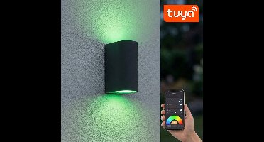 SMART LED Wandlamp | Tuya / WiFi | Santa barbara | Incl. 2x lichtbronnen | Antraciet