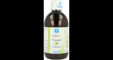 Nutergia Ergysil Solucion 500ml