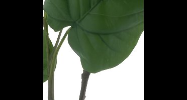 Erutan avon - Love banyan leaves green 90 cm