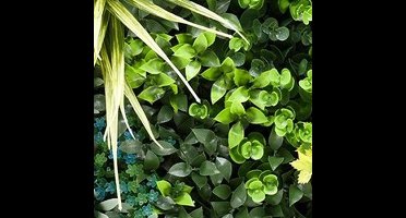 Buitengewoon de boet - Kunstplanten mat 50x50 cm mis blues a