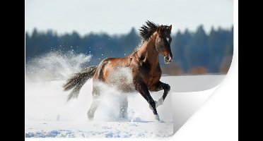 Muurstickers - Sticker Folie - Paard - Sneeuw - Winter - 30x20 cm - Plakfolie - Muurstickers Kinderkamer - Zelfklevend Behang - Zelfklevend behangpapier - Stickerfolie