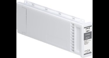 Original Ink Cartridge Epson C13T800700 Grey