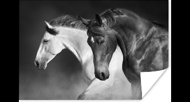 Poster Paarden - Dieren - Zwart - Wit - Portret - 30x20 cm
