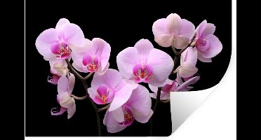 Muurstickers - Sticker Folie - Orchidee - Bloemen - Roze - Flora - 30x20 cm - Plakfolie - Muurstickers Kinderkamer - Zelfklevend Behang - Zelfklevend behangpapier - Stickerfolie