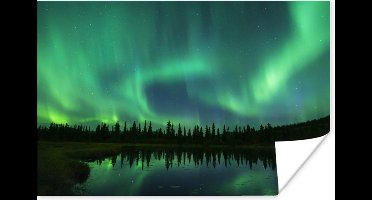 Poster Noorderlicht - Bomen - Water - Alaska - 30x20 cm