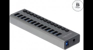 DeLOCK USB hub met 13 poorten en aan/uit schakelaars - USB3.0 - externe 12V voeding / grijs - 1 meter
