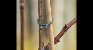 Plantenklemset / planten klemmen - 160 stuks - D 16 / 20 / 25 mm - Tuinier benodigheden