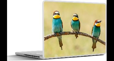 Laptop sticker - 14 inch - Vogels - Dieren - Bijeneter - 32x5x23x5cm - Laptopstickers - Laptop skin - Cover