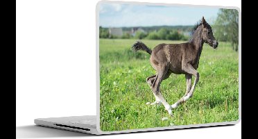 Laptop sticker - 14 inch - Paard - Bloemen - Gras - 32x5x23x5cm - Laptopstickers - Laptop skin - Cover