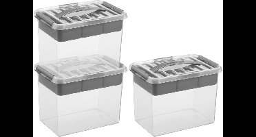 Sunware q-line opberg box/opbergdoos - 3x - met vakverdeling - tray 9 liter - transparant/zilver - 30 x 20 x 22 cm kunststof - gereedschapskist - opslagbox