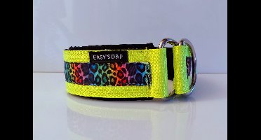 Sliphalsband - Maat M - 4 cm breed - Neon geel - Panterprint regenboog - Anti trek halsband - Halsband - Hondenhalsband - Sterke rassen