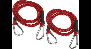 FX Tools Bagage spin/spanelastiek voor fiets/auto - 2x - rood - 80 cm - elastiek met karabijn haken