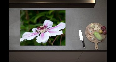 Inductieplaat Beschermer - Clematis Flordie Bloemen in het Wit met Paarse Details - 70x55 cm - 2 mm Dik - Inductie Beschermer - Bescherming Inductiekookplaat - Kookplaat Beschermer van Wit Vinyl