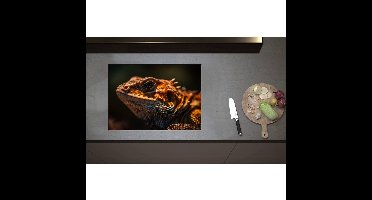Inductieplaat Beschermer - Bruine leguaan zit in het zonlicht - 70x50 cm - 2 mm Dik - Inductie Beschermer - Bescherming Inductiekookplaat - Kookplaat Beschermer van Wit Vinyl