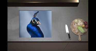 Inductieplaat Beschermer - Chique Poserende Kop van Blauwe Papegaai - 60x51 cm - 2 mm Dik - Inductie Beschermer - Bescherming Inductiekookplaat - Kookplaat Beschermer van Wit Vinyl