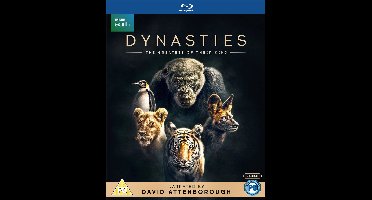 Dynasties