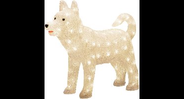 Konstsmide Dog Husky Lichtdecoratie figuur 88 gloeilamp(en) LED 3,6 W G