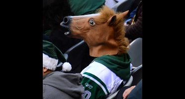 Paardenmasker - Horse Headmask - Latex - Realistische Manen - Bruin - One Size Fits All - Geschikt voor Kinderen en Volwassenen - Perfect voor Carnaval, Halloween en Themafeesten