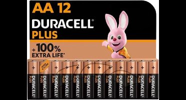 Duracell batterijen AA - alkaline batterijen - 1,5V, LR6 - 12 stuks