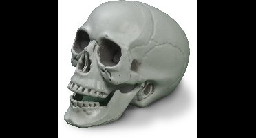 Vegaoo - Angstaanjagende botkleurige schedel