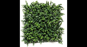 Emerald - Kunst Plantenwand Eucalyptus UV 50x50cm - Kunstplant voor binnen