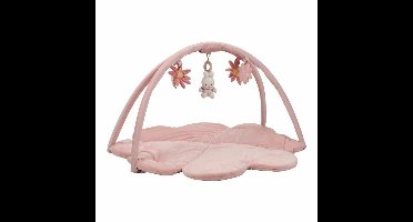 Little Dutch Nijntje Speelkleed Boog Lucky Blossom – Roze babygym met zachte speelkleed en afneembare speelboog – Inclusief kleurrijke speeltjes met Nijntje thema – Stimuleert zintuigen, motoriek en ontdekking – Perfect voor baby's vanaf geboorte