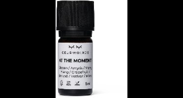 At The Moment - Geurwolkje® Blend - 100% Etherische Olie - 5 ml
