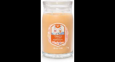 Yankee Candle - Slopeside Spritz Large Jar Geurkaars - 90 branduren - twee lonten