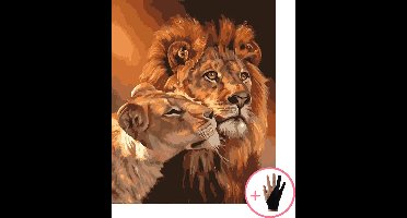 HobbyMania Schilderen Op Nummer Volwassenen Leeuw Leeuwin Dieren – 40x50 cm - Inclusief Tekenhandschoen - Paint By Number Volwassenen