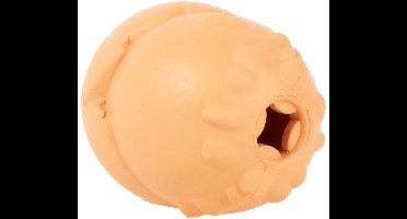 EBI Hondenspeelgoed Snackbal Grrrip it oranje XS