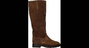 Gabor Dames Laarzen - bruin