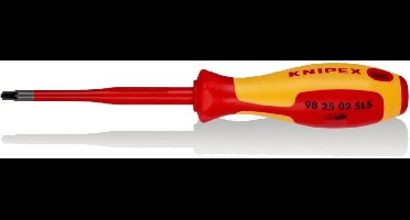 Schroevendraaier PlusMinus PZ2 - 98 25 02 SLS