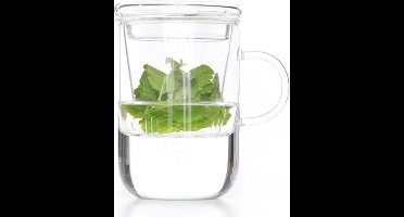 Cosy & Trendy Theekop met filter borosilicaatglas