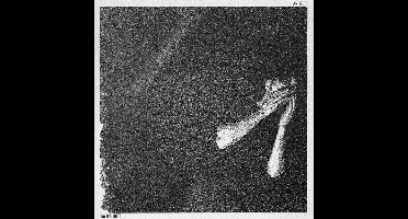 David August - D'Angelo (LP)