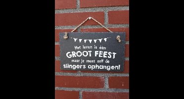 Leisteen - Leven is één groot feest