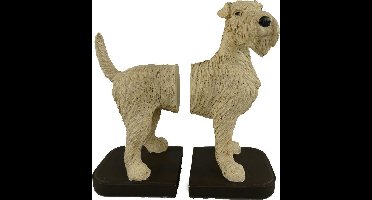 MadDeco - Polystone - boekensteun - schnautzer - hond