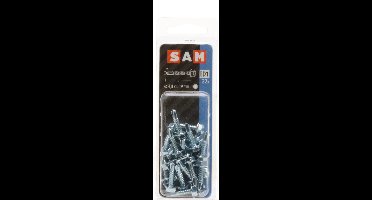 22x SAM Zelfborende schroef zeskantkop 4.8x19mm D1 816092