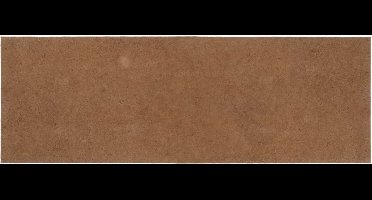 vidaXL - Matrasonderlegger - 80x200 - cm - kokosnootvezel