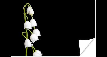 Poster Lelietjes van dalen - Bloemen - Zwart - Flora - 30x20 cm