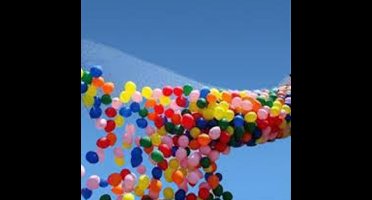 Wefiesta Ballonnenvalnet  1 X 2,4 M Nylon Zwart 100 Stuks