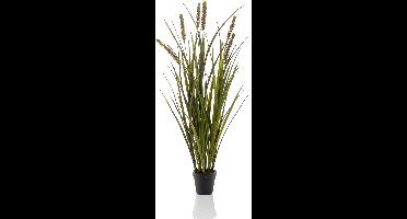 Emerald - Kunstplant Kattenstaart Gras kort 85cm - Kunstplant voor binnen