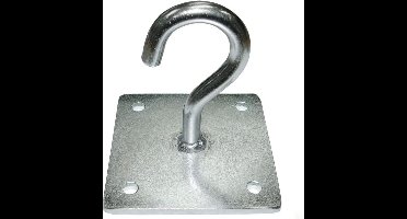 Haak met muurplaat - 100 x 100mm - Gegalvaniseerd