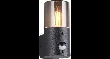 TRIO HOOSIC - Wandlamp - Zwart mat - excl. 1x E27 4W - Bewegingssensor - Buitenverlichting - IP44