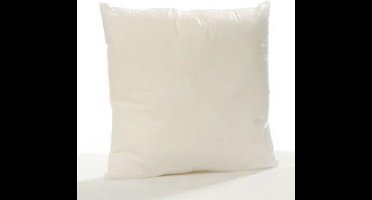 Binnenkussen 40x40 cm - Restyle