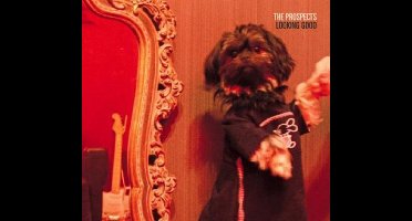 The Prospects - Looking Good (CD)