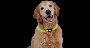 Nite Ize niteHowl Led Safety Necklace -