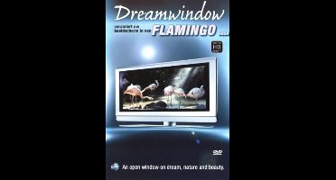 Dream Window - Flamingo's (DVD)