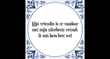 Tegeltje met Spreuk (Tegeltjeswijsheid): Mijn vriendin is er vandoor met mijn allerbeste vriend; ik mis hem best wel + Kado verpakking & Plakhanger