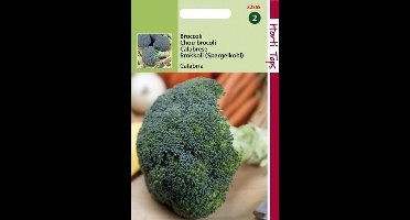 Hortitops Zaden - Broccoli (Calabrese) Calabria